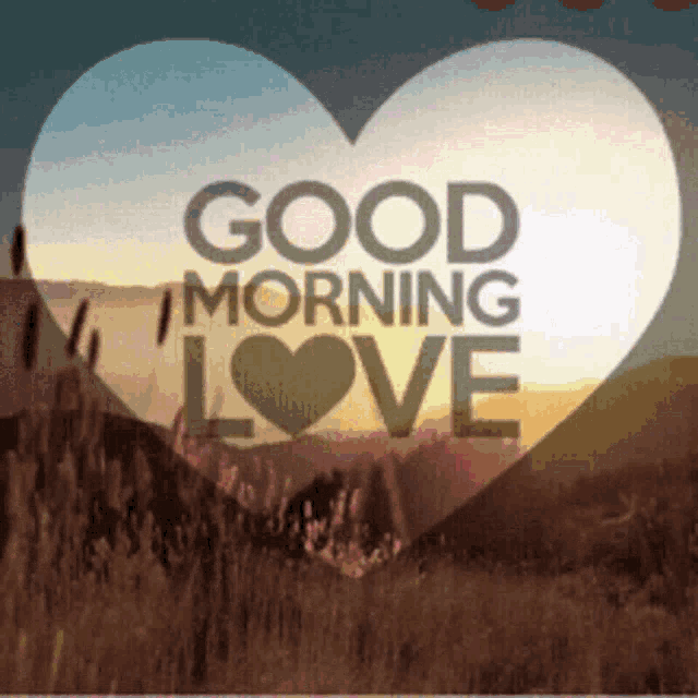 Morning Love GIF