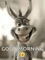 Morning Meme