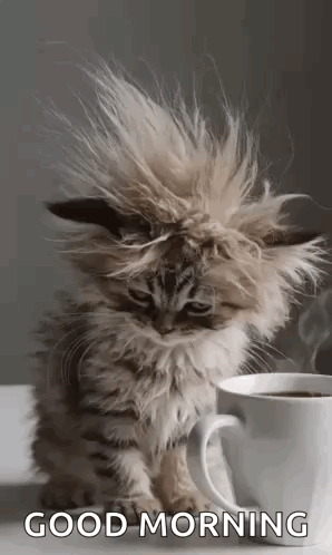 Morning Morning Coffee GIF