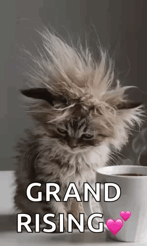 Morning Morning Coffee GIF