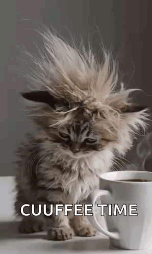 Morning Morning Coffee GIF