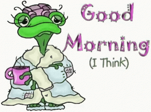 Morning Outfit GIF
