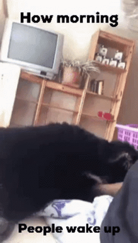 Morning People GIF