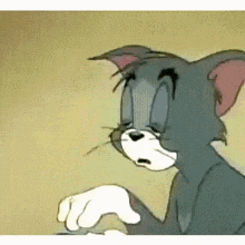 Morning GIF