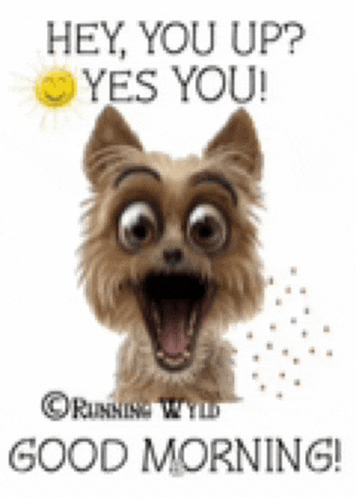 Morning Quotes Morning Quotes For Love Meme