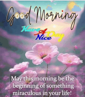 Morning Rays Bubble Meme