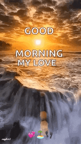 Morning Sun GIF