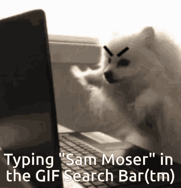 Moser Sam Moser GIF