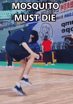 Mosquito Die Musquito GIF
