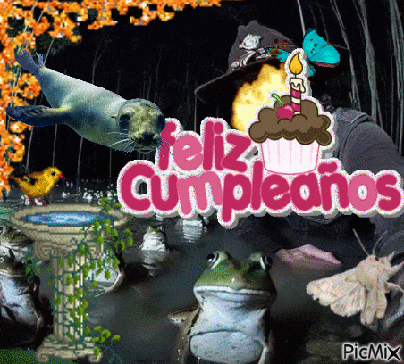 Moth Frog GIF