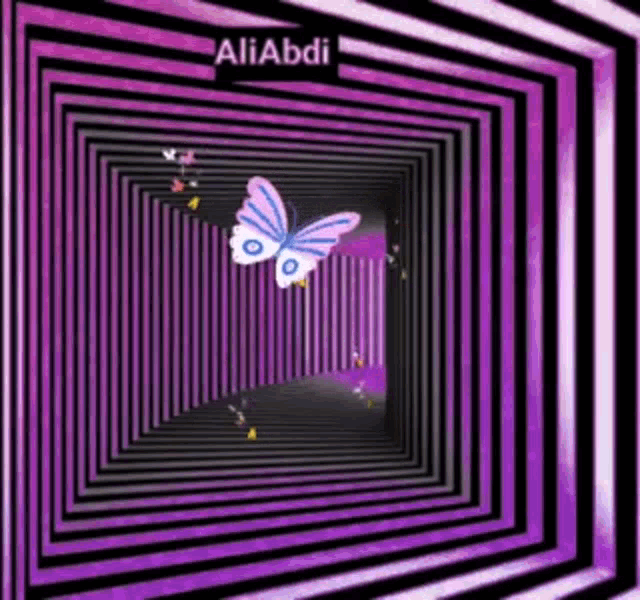 Moths GIF