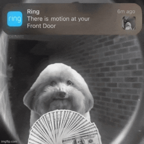 Motion Meme