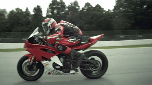 Motorcycle Racing Wes Neal GIF