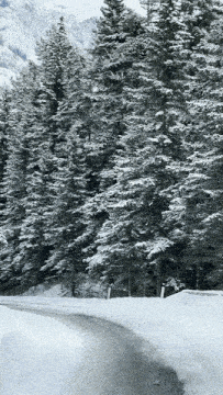 Mountain Road Canadian Rockies GIF