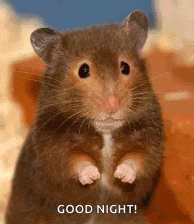Mouse Wiggle GIF