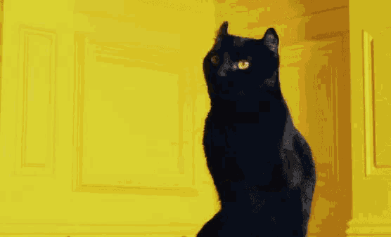 Mousu Small GIF