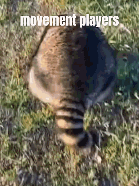 Movementplayers Pf GIF