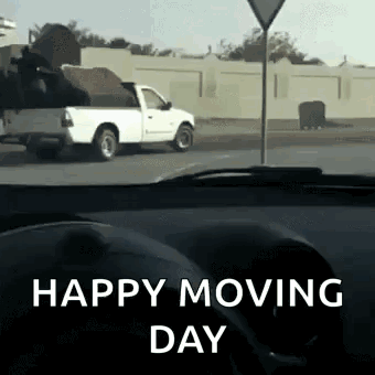 Moving Day Darwinism GIF