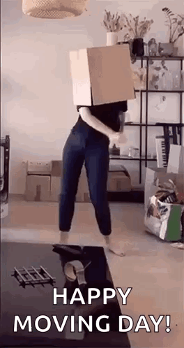 Moving Day Packing GIF