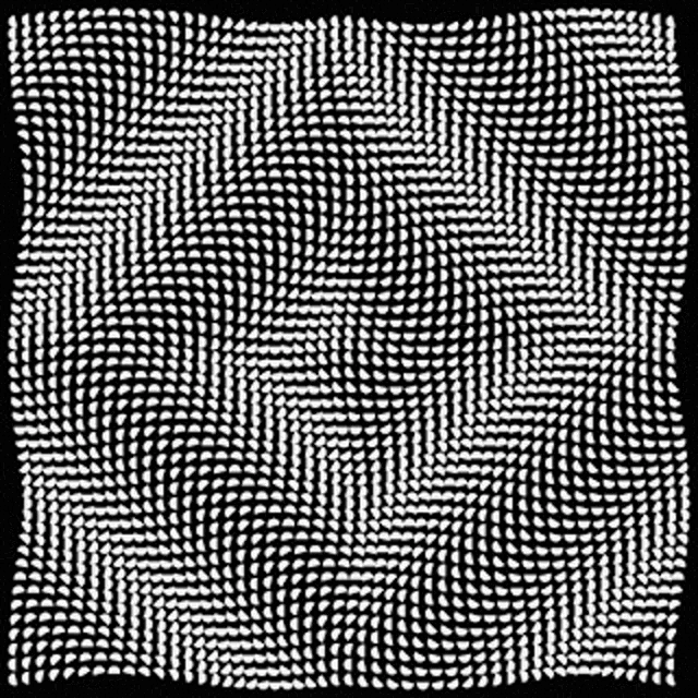 Moving Formation GIF