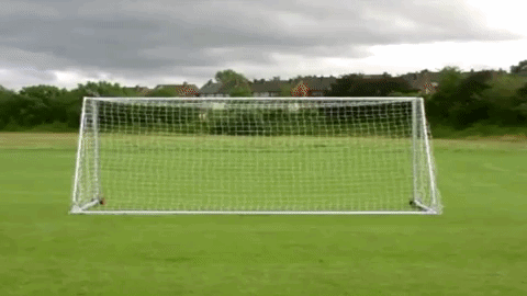 Moving The Goalpost Logical Fallacy GIF