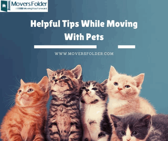 Moving With Pet Animals Meme