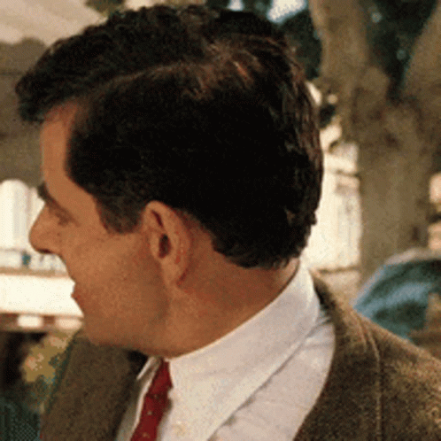 Mr Bean Why Not Both GIF