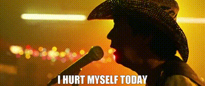 Mr Chow I Hurt Myself Today Hangover GIF