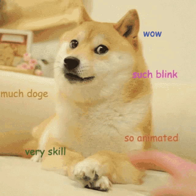 Much Wow GIF