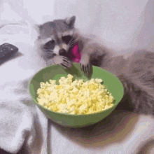 Munchie Gmmm GIF