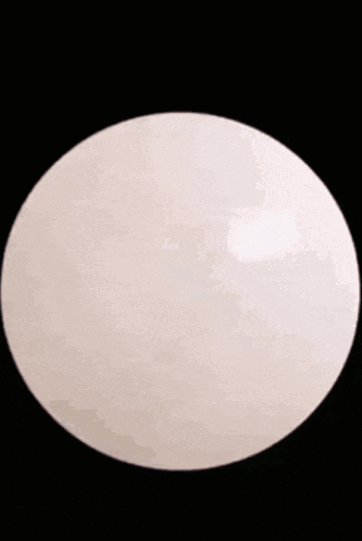 Munchie Gmmm GIF