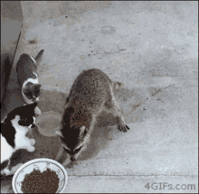 Munchie Gmmm GIF