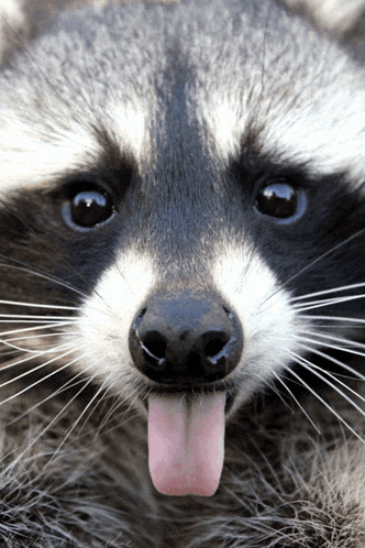 Munchie Mmm GIF