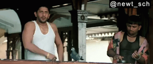 Munna Bhai Mbbs Arshad Warsi Circuit GIF