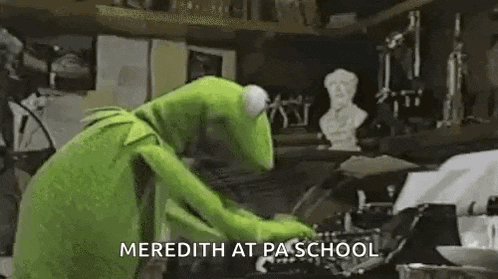 Muppet Kermit The Frog GIF