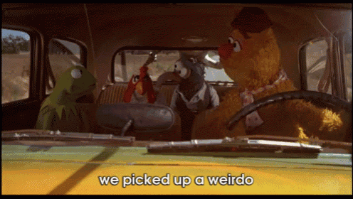 Muppet Movie GIF
