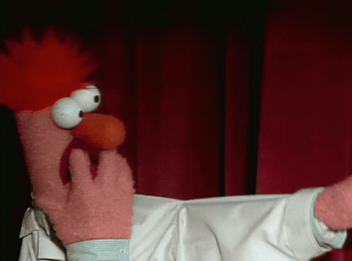 Muppet Show Muppets GIF