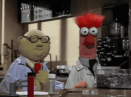 Muppet Show Muppets GIF