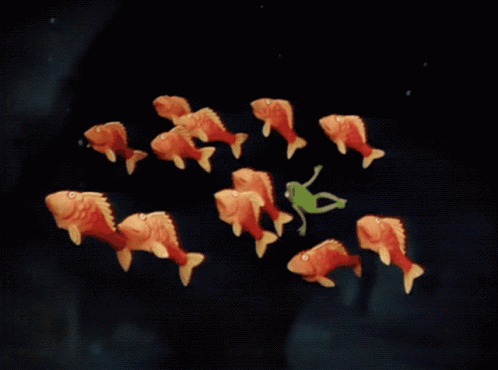 Muppet Show Muppets GIF