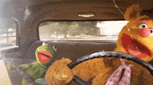 Muppets GIF