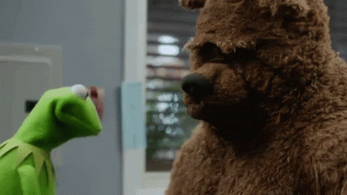 Muppets Kermit GIF
