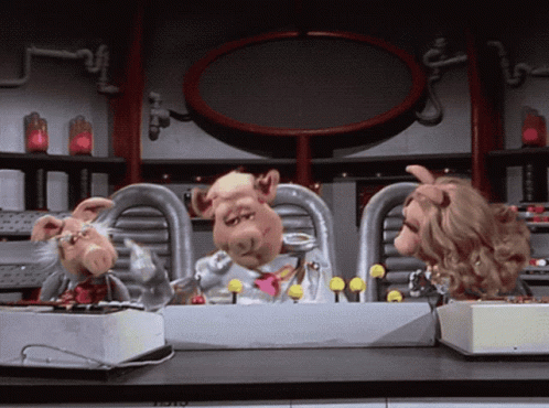 Muppets Muppet Show GIF. This 498 x 370 animated GIF is part of our pigs in space collection. Related themes include miss piggy, tap dance. Created by…