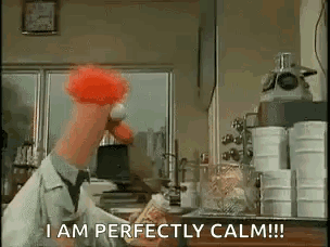 Muppets Panic GIF