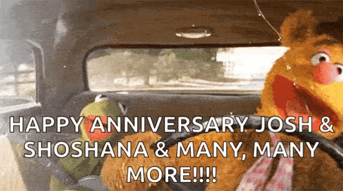 Muppets Themuppets GIF