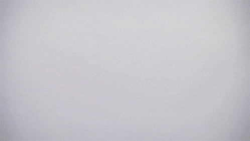 Muppetwiki Muppet Wiki GIF