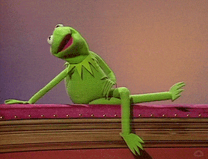 Muppetwiki Muppet Wiki GIF