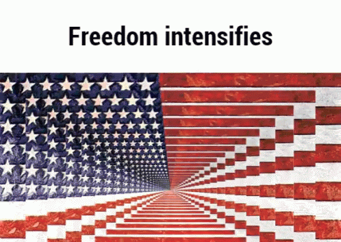Murica GIF. This 498 x 353 animated GIF is part of our freedom intensifies collection. View the original animation, share it, or browse related GIFs.