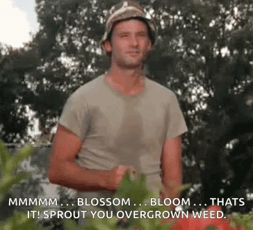 Murray Washing GIF