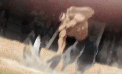 Musashi Retsu GIF
