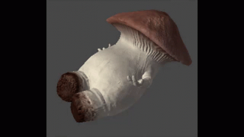 Mushroom GIF